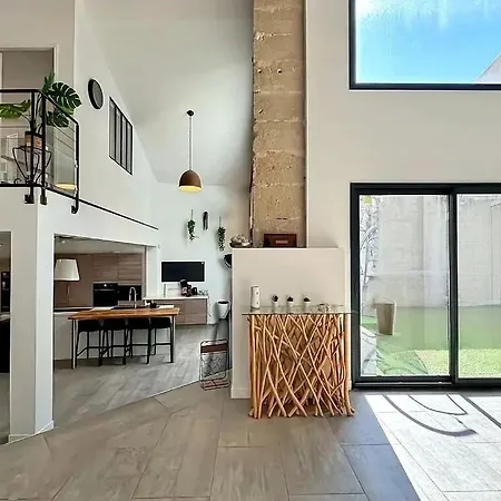 Maison Loft Atypique - Jacuzzi Clim Et Jardin * Saint-Jean-de-Védas